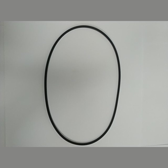 Уплотнительное кольцо φ3,1 × φ150 P115000272550000