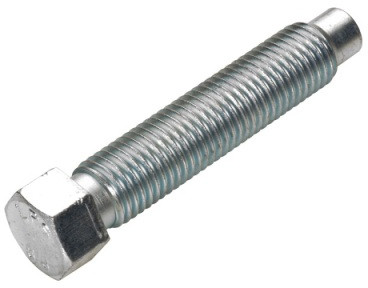 Болт спец. инструмент M10x1,25х60 Stels Guepard LU095311