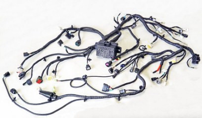 Жгут проводов главный (с задним дифференциалом, длинная версия) для квадроцикла Segway A02M11100005 LU097475