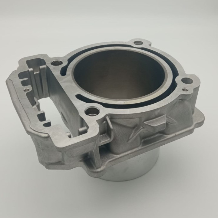 Цилиндр 800см3 Stels Guepard Dominator снегоход Viking Ataman Ermak Vityaz 800см3 BRP Lynx 103200-800-0000 LU072407 420613586