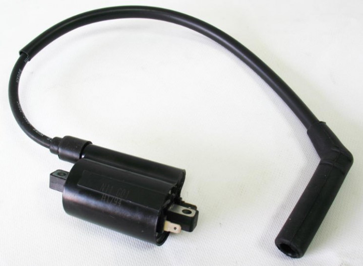 Катушка зажигания Stels Leopard 500/600 370500-102-0000 196MS-3705000 LN001425