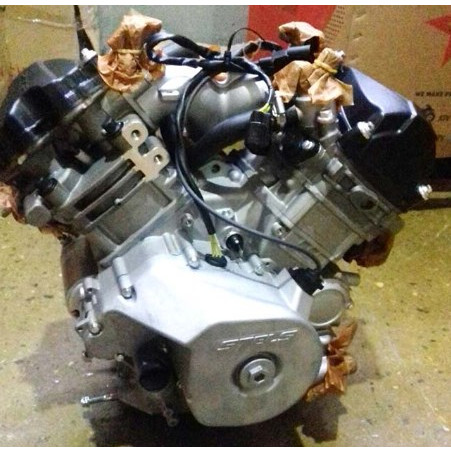 Двигатель с искровым зажиганием 800 см3 (GK2V91MW), Stels Guepard 100000-103-0001