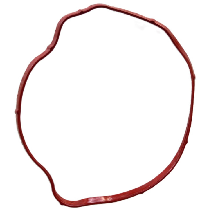 Прокладка уплотнительная крышки водяного насоса Stels Guepard 2.0 резина EP-00000364 Прокладка уплотнительная крышки водяного насоса Stels Guepard 2.0 резина EP-00000364